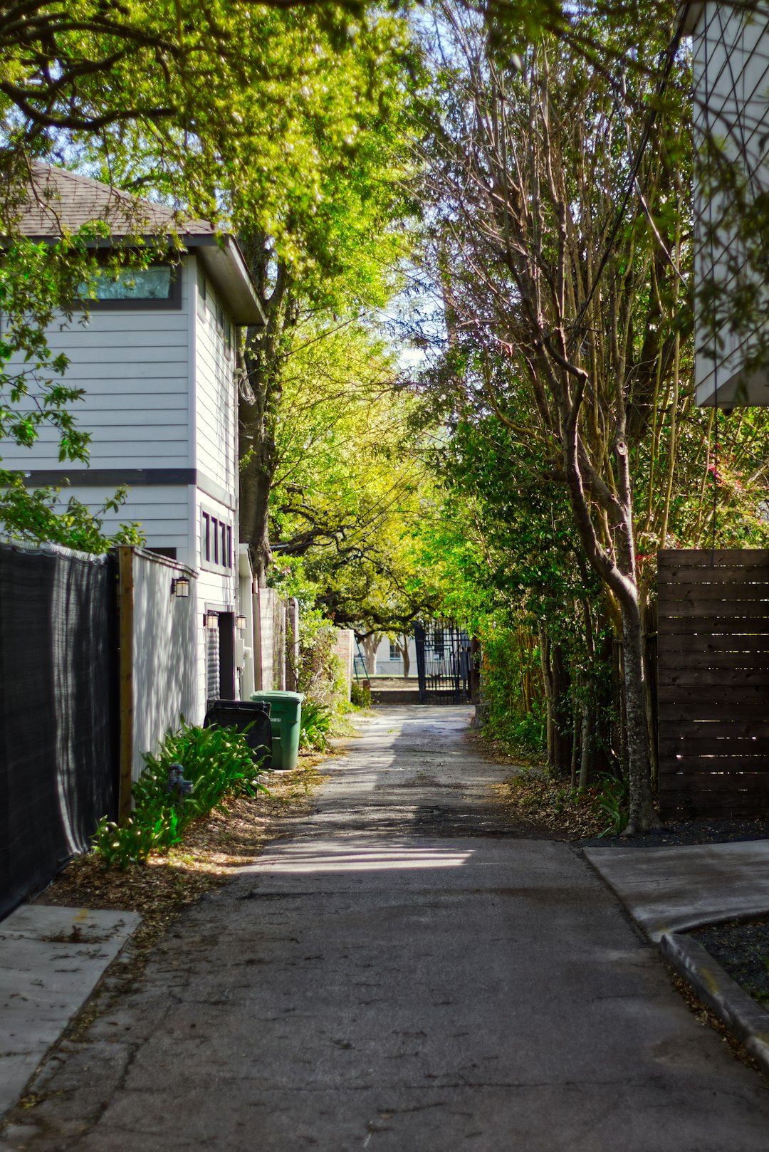 Tree-lined residential neighborhood representing homebuyers in Spring, Texas